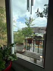 Forest Hills Condominium (D26), Condominium #457432601